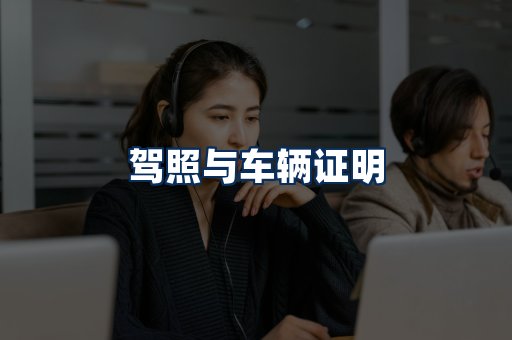 车辆证明展示
